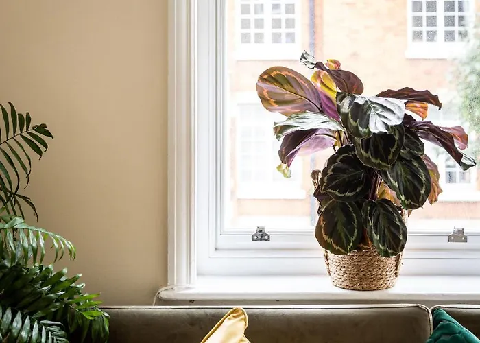 One Bedroom Apartment In Marylebone